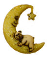 Bear on Moon