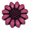 Fuschia Flower