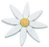 White Flower